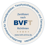 BVFT - Berufsfachverband