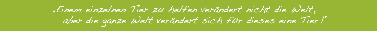 Ulli Rüger - Physiotherapie & Akupunktur für Tiere